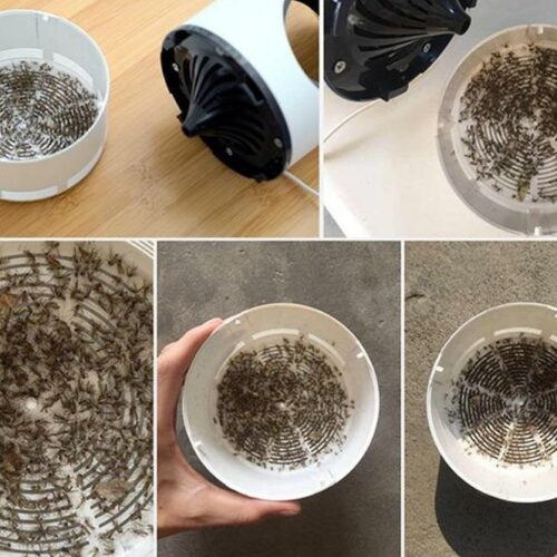 Beyondkrafty™ Official Retailer – Mosquito Killer Trap