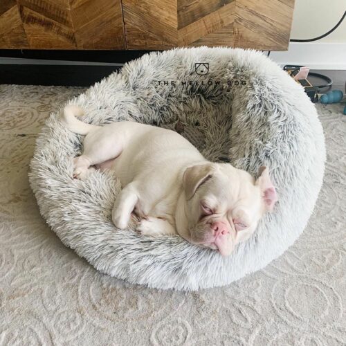 The Mellow Dog™ Official Retailer – Calming Bed