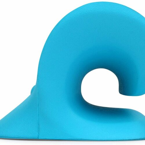 Flexit™ Cervical Traction Device – Official Retailer