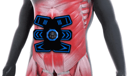 Vital Flex Core EMS Stimulator - Official Retailer - Vital Flex Core