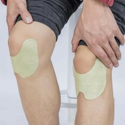 Wellnee Pain Relief Patches