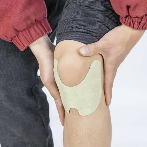 Wellnee Pain Relief Patches