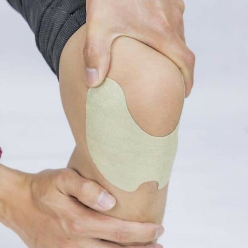 Wellnee Pain Relief Patches